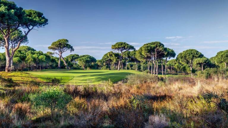 Cornelia Faldo Golf Club (5)