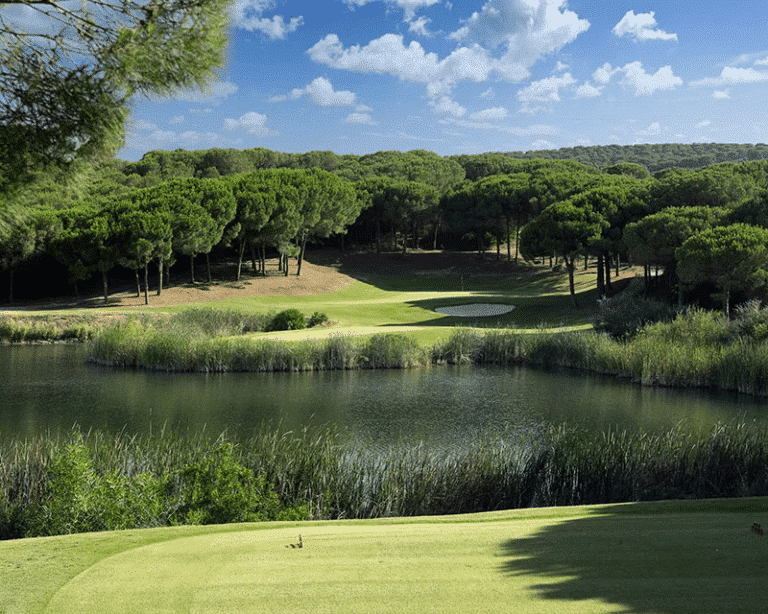 so-sotogrande-ALMENARA-green1-800x640-1