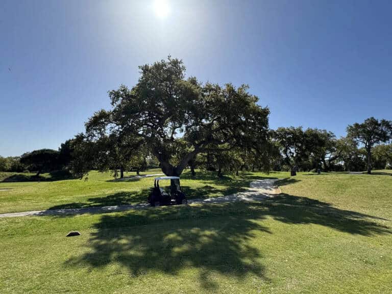 San-Roque-Golf-Resort-C2B7-Golf-Course-in-Costa-del-Sol-Sotogrande-