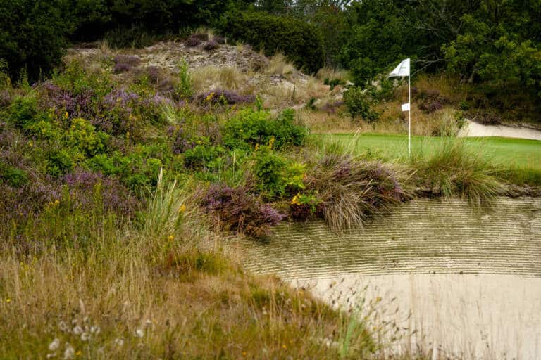 Hvide klit golf bane